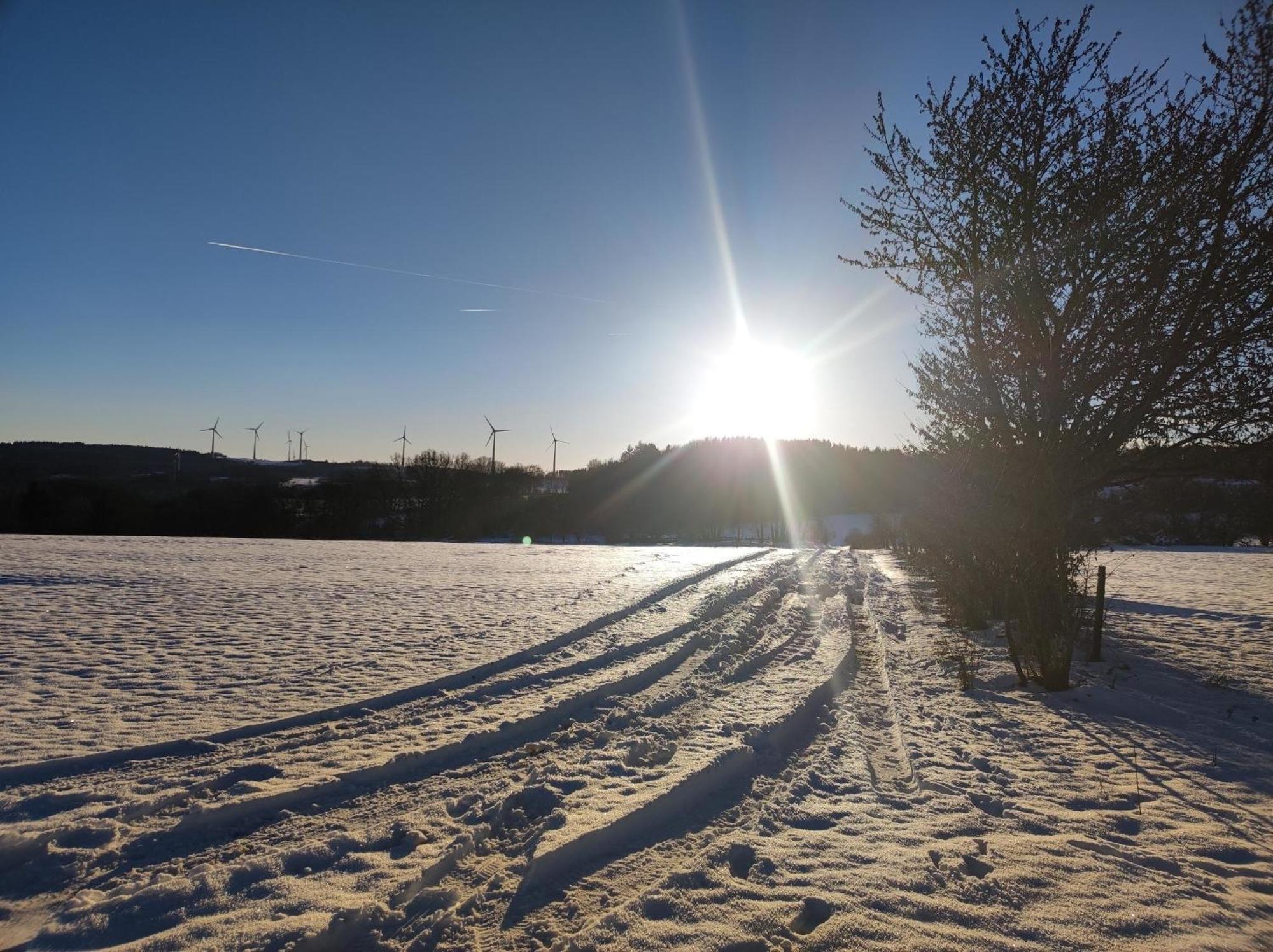 Ferienwohnung Zum Rosengarten West015 Westerwald Driedorf Exteriör bild